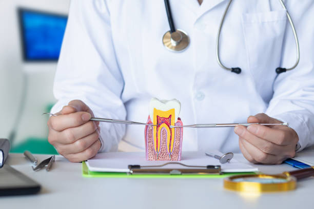 Best Emergency Root Canal Treatment in Hot Springs, AR